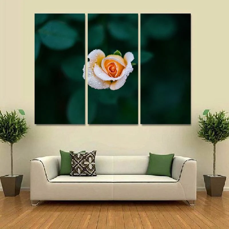 White Rose
